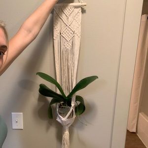 Set of three macro-met plant holders